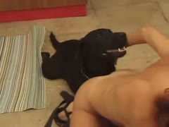 Brunette got banged in dog porno